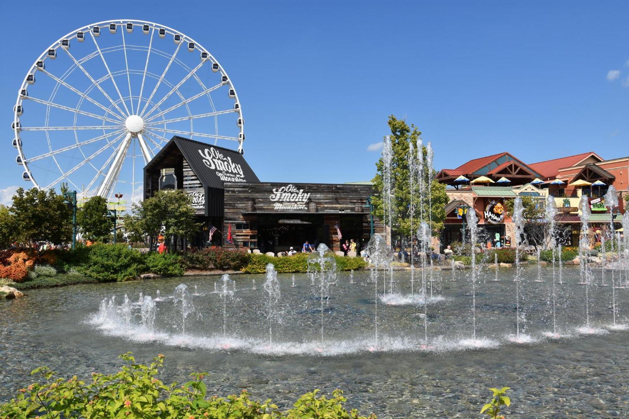 Alpine Resort Near Dollywood, Hot Tub, Game Room, Outdoor Pool, Fast Wifi Pigeon Forge Exterior foto